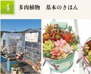 国東おだやか博2023-2024　多肉植物　基本のきほん